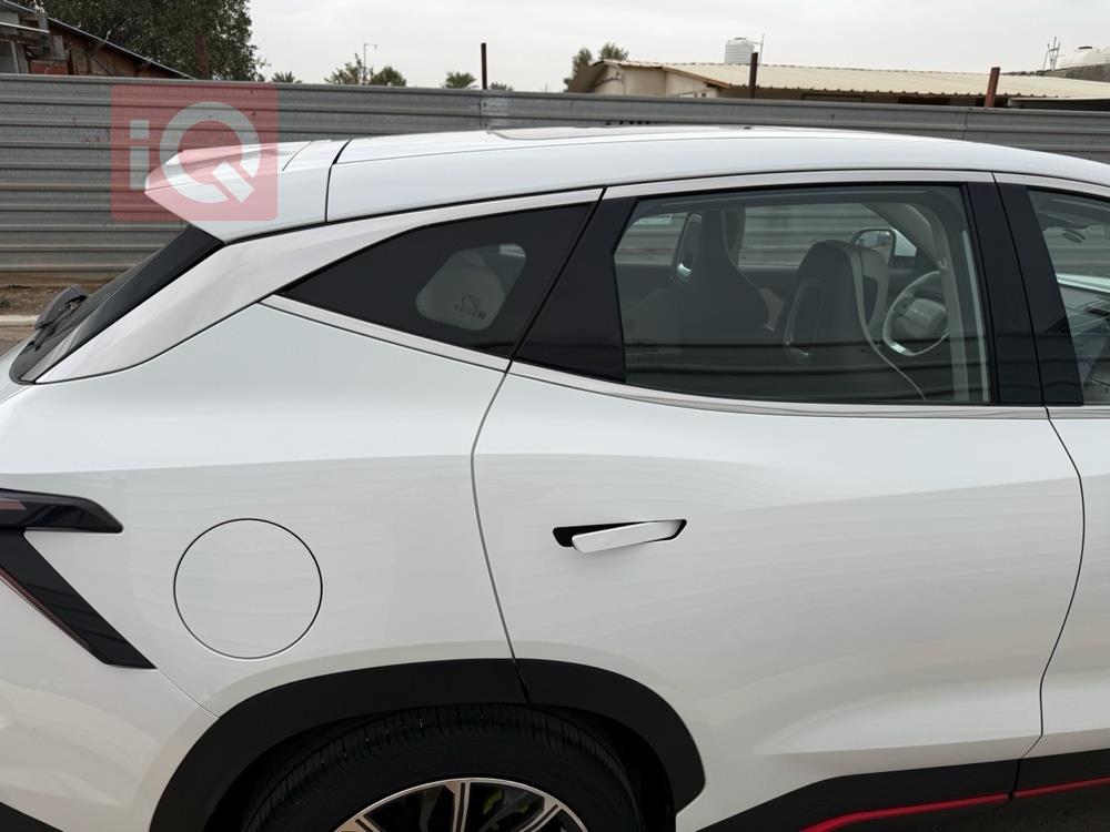 جيتور داشينج